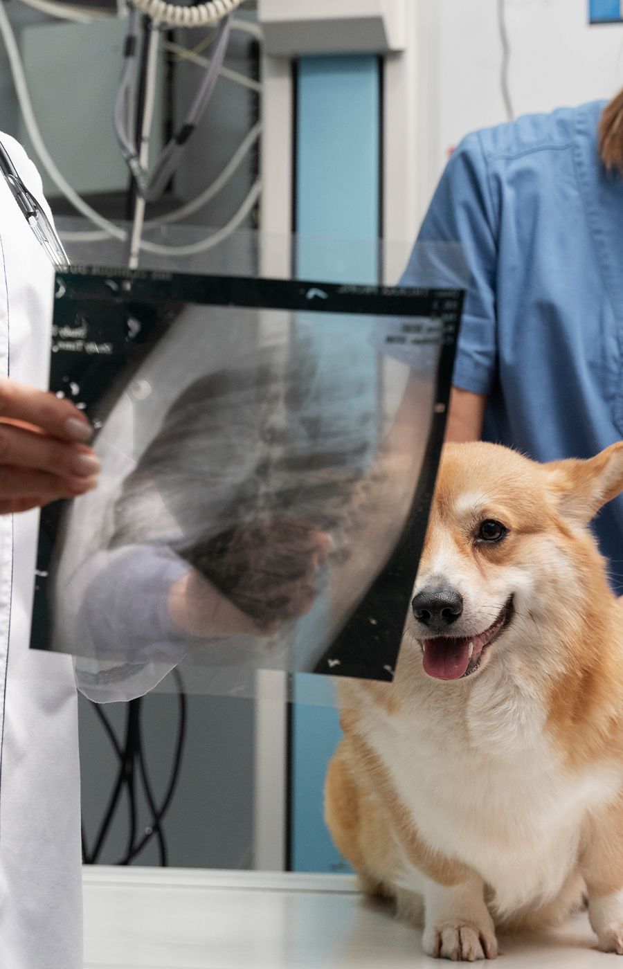 InHouse Laboratory West Babylon, Lindenhurst, Farmingdale West