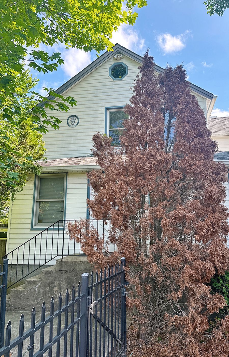 Veterinarian West Babylon, Lindenhurst, Farmingdale West Babylon