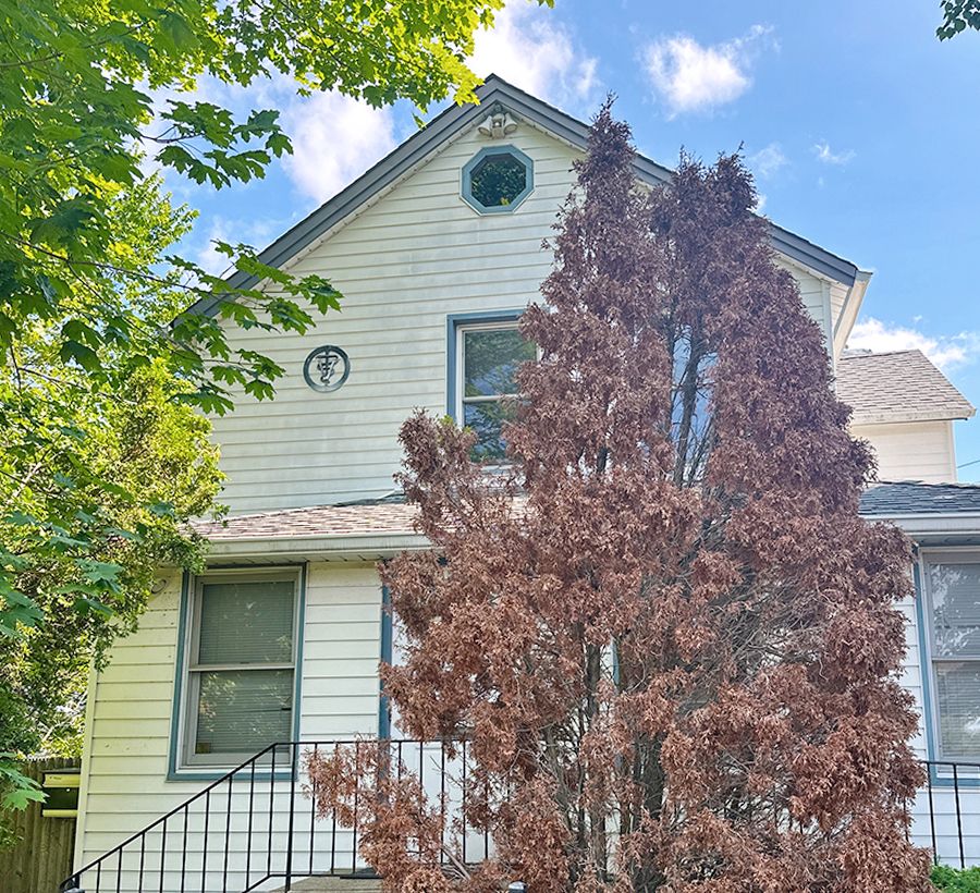A white two-story house with a window under the roof peak, partially obscured by a tall, brown, dried-out tree.