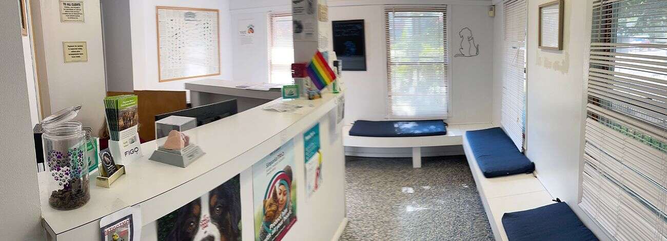 Veterinary clinic waiting area with posters, seating, and a reception counter displaying a rainbow flag.