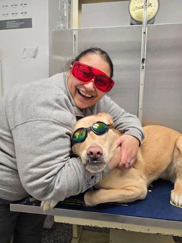 Woman smiling and hugging a relaxed dog wearing goggles on a veterinary exam table.