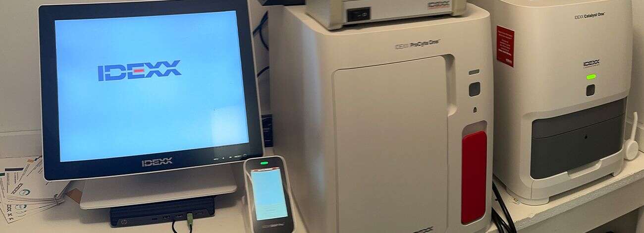 Laboratory equipment including a monitor displaying "IDEXX," a small device, and a compact analyzer.