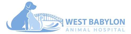 Two dogs sitting on grass with a bridge and waves, alongside "West Babylon Animal Hospital" text.